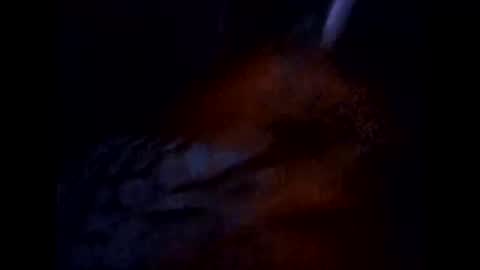 twest84 online show from May 2, 3:31 am