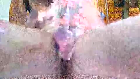 tystickk66 online show from April 15, 2:50 pm