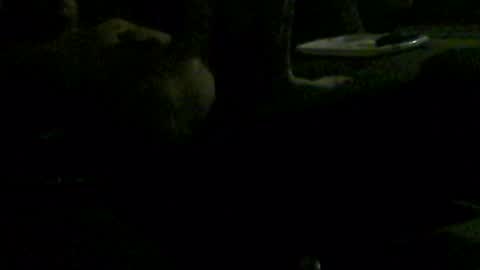 Im DanielVerdo  25 years old Lets have Fun and just ask what wanne know   tnew anal bigock cum  slave  fullnaked online show from July 14, 2:27 am