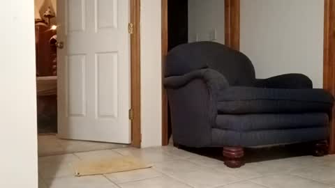 w3ll5pun online show from June 22, 2:28 am
