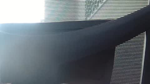 Wetbigdickstream online show from June 13, 12:14 pm