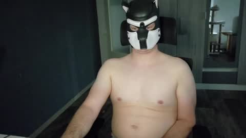 white_pup online show from May 4, 5:04 pm