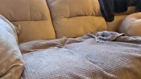 whorekneeweeny online show from August 5, 8:47 pm