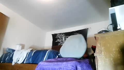 wolfman79 online show from August 5, 10:42 am