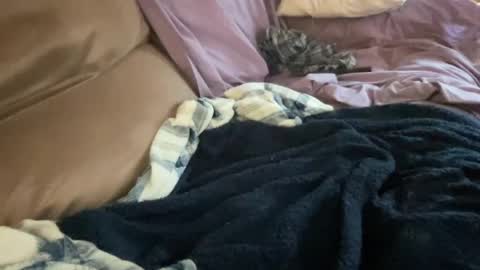 wucious online show from July 15, 11:39 am