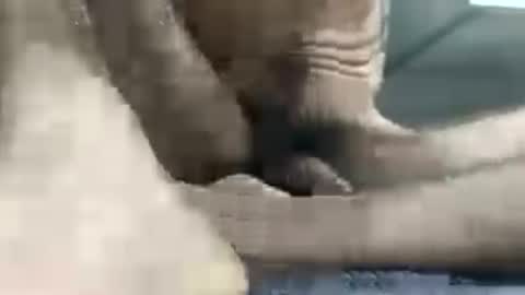 xxxdarknagician81 online show from July 3, 2:18 am