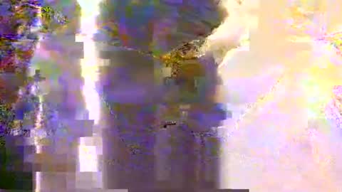 yangolox3 online show from May 12, 2:31 am
