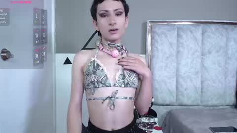 YANG online show from August 4, 11:37 am