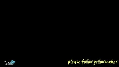 .     y e l l o w s n a k e s       . online show from May 16, 5:38 am