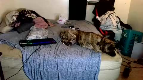 yobleez online show from June 11, 2:53 am