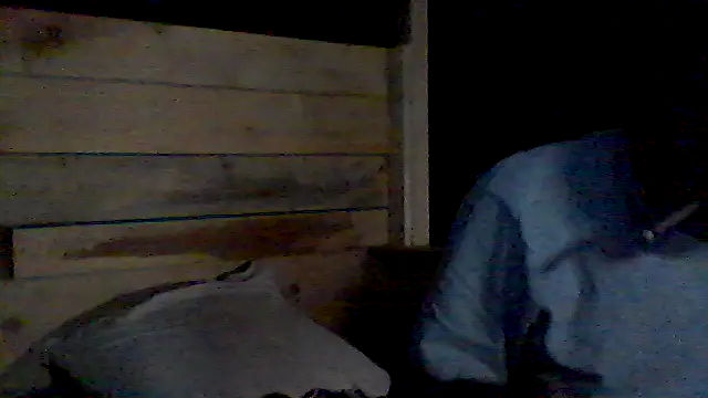Pourquoipas online show from July 30, 8:52 pm