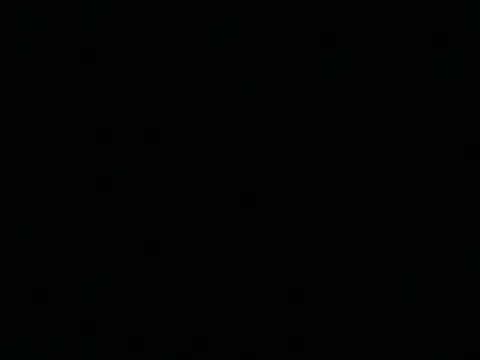 Tigerhill2023 online show from April 25, 1:41 pm