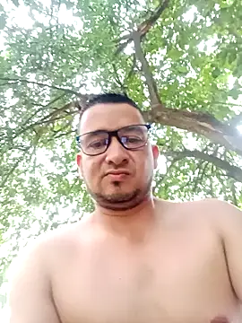 Fabi 1986 online show from July 11, 10:34 pm