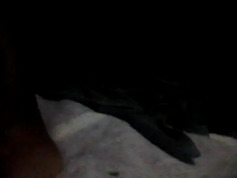 bogbosdick online show from May 5, 3:41 am