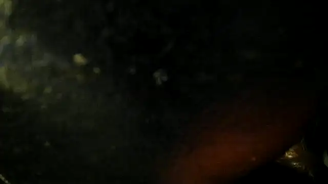 leatherz69 online show from May 22, 2:49 am