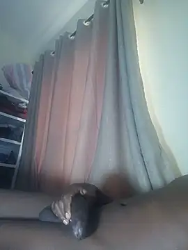 Vvvolix online show from August 1, 6:01 am