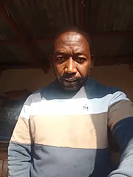 WiseDi online show from July 11, 11:56 am