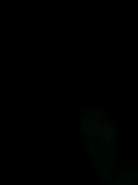 Inkognito0495 online show from May 16, 1:25 am