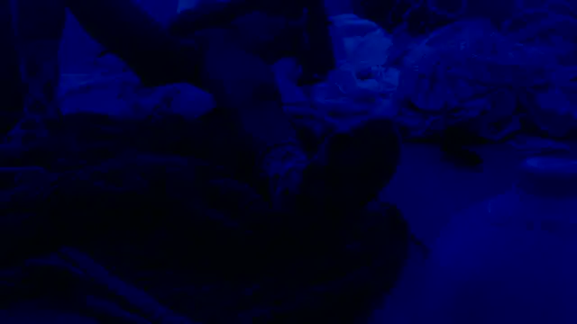 HilariousBrain9 online show from May 30, 2:44 am