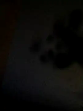 Leocesar37 online show from April 29, 9:54 pm