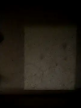 Leocesar37 online show from May 13, 10:07 pm