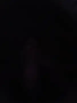 HPBRYAN online show from July 25, 1:13 am