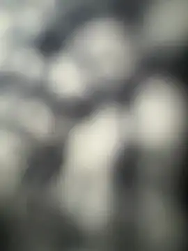 Majorcumlive online show from July 15, 6:58 pm