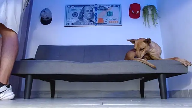 boss of cash online show from May 9, 4:02 am