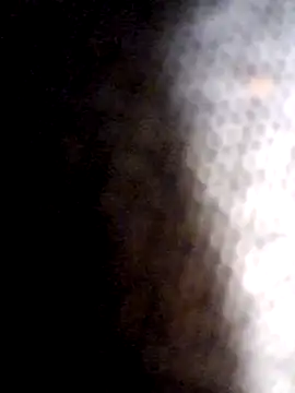 zeus2630 online show from May 3, 4:26 am