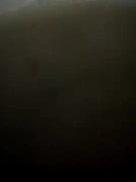 puneribull online show from March 8, 8:46 pm