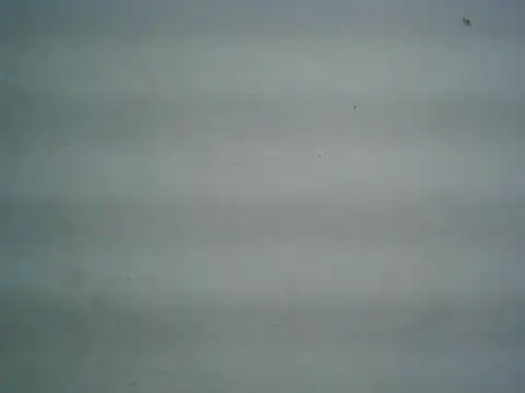 michel1520 online show from June 9, 4:36 am