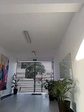 javier0990 online show from August 7, 12:01 pm