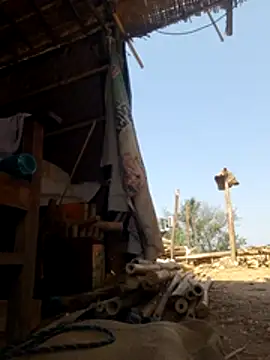 hot integer online show from June 18, 5:09 am