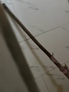 pussy hunter0 online show from May 15, 12:41 am