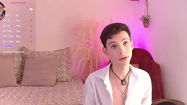 VicenteFerrer online show from July 12, 2:30 pm