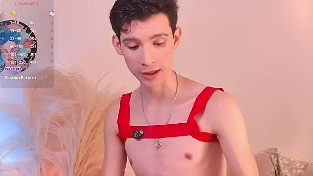 VicenteFerrer online show from July 27, 2:35 pm