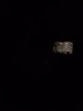 Recien666 online show from August 2, 7:28 am