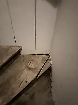 Floppy44 online show from April 29, 1:21 am