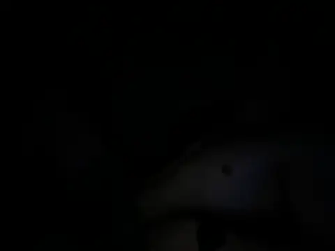 lekkerepik1111 online show from June 2, 1:06 am