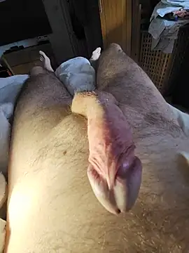 cum daily1 online show from August 5, 6:18 am