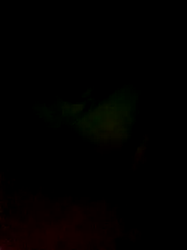 Yerackhip online show from May 13, 1:52 pm