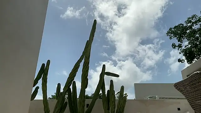 alex islivee online show from June 6, 3:51 pm