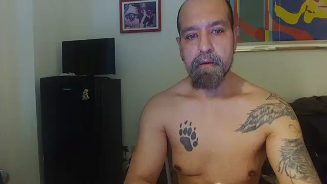 AMIRDIB2025 online show from August 7, 5:41 pm