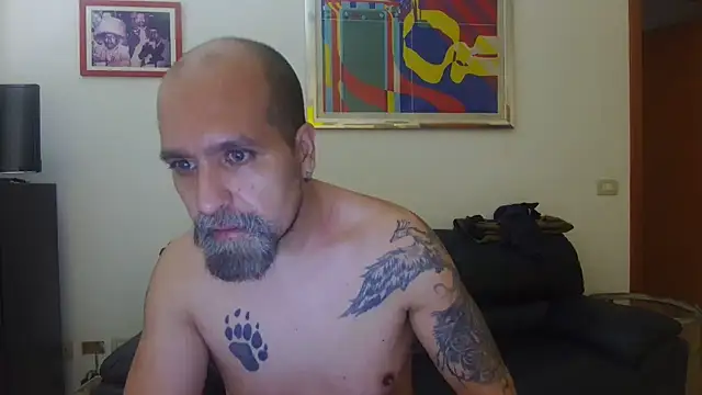 AMIRDIB2025 online show from August 4, 10:10 am