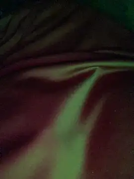 zoodangermind online show from July 4, 8:45 pm