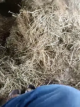 Pusssyfuc online show from July 9, 4:49 am