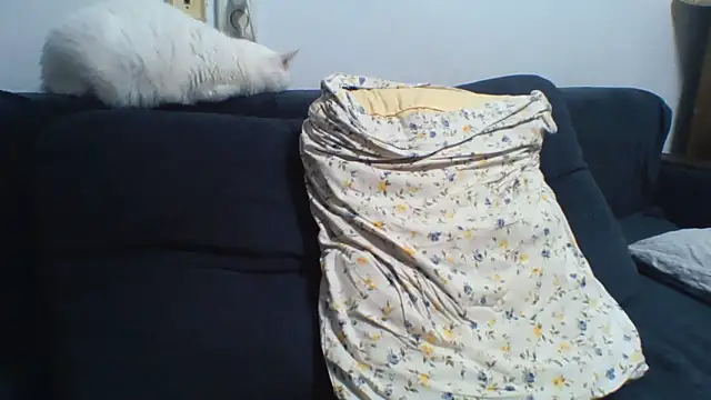 KaelNox online show from May 8, 9:48 pm