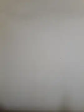 Asher Jack online show from August 8, 7:37 am