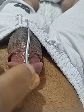 meligton online show from July 11, 8:05 am