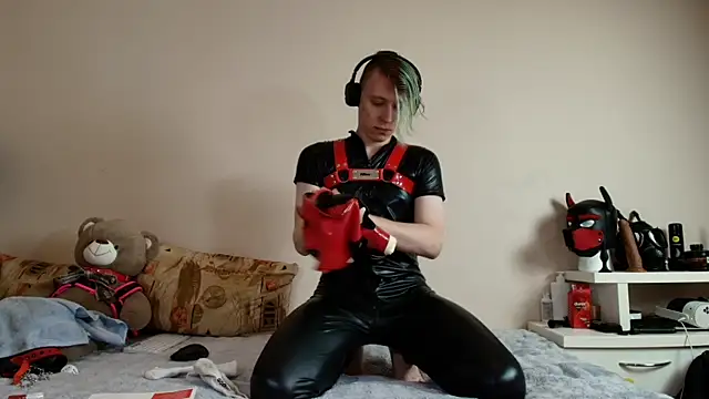 K9 GoodBoy online show from May 8, 7:36 pm